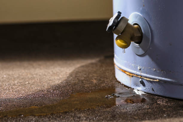 Best Water damage cleanup near me  in Montague, CA