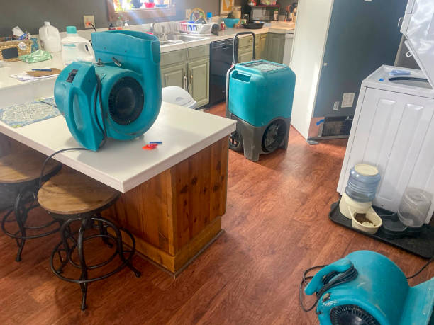 Best Local water damage restoration  in Montague, CA