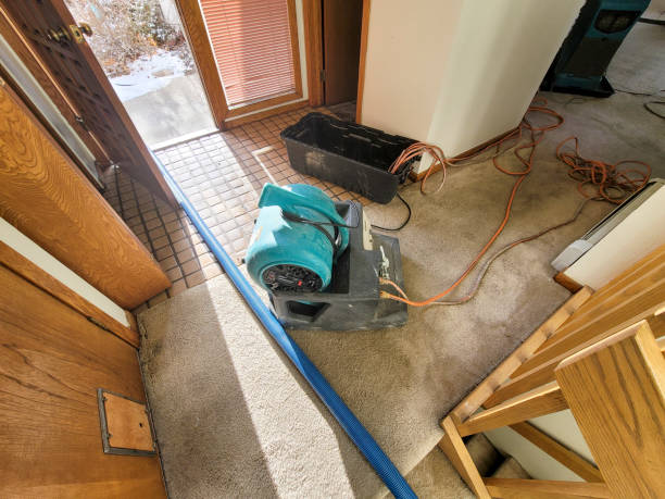 Best Local water damage restoration  in Montague, CA