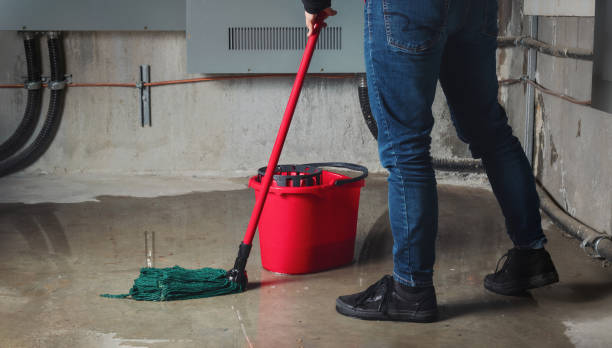 Best Mold removal after water damage  in Montague, CA