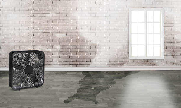 Best Emergency water damage restoration  in Montague, CA