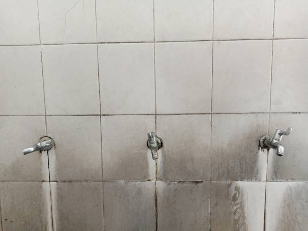 Best Emergency water damage restoration  in Montague, CA